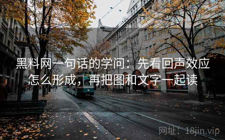 黑料网一句话的学问：先看回声效应怎么形成，再把图和文字一起读